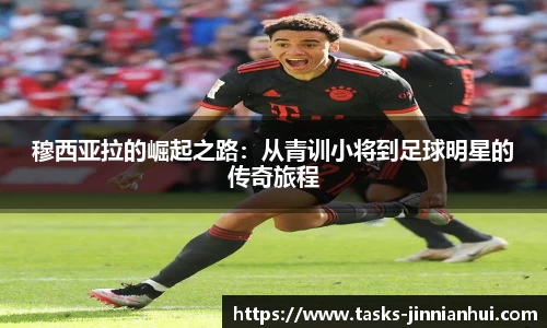金年会官网